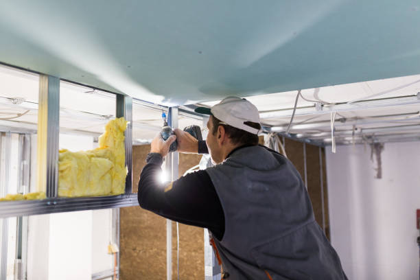 Best Best Insulation Companies  in Murillo, TX
