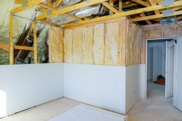 Best Insulation for New Construction  in Murillo, TX