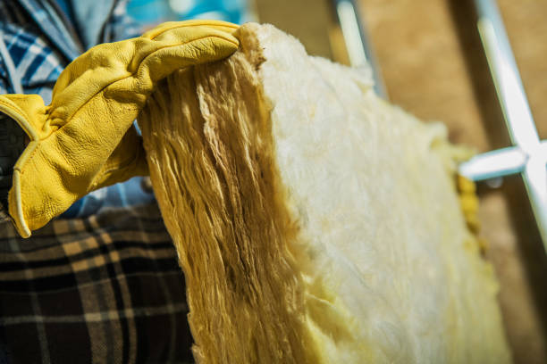 Best Insulation Repair Services  in Murillo, TX