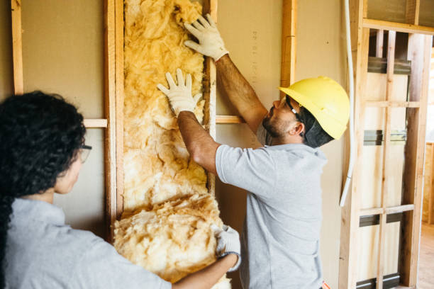 Best Spray Foam Insulation  in Murillo, TX
