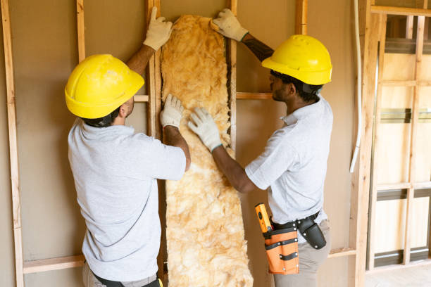 Best Affordable Insulation Services  in Murillo, TX