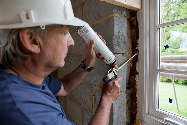 Best Insulation Replacement Services  in Murillo, TX